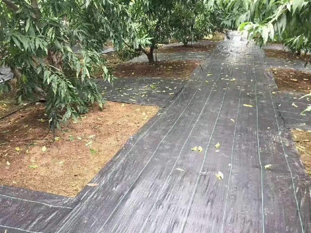 地面编织布